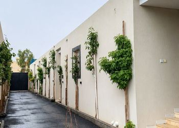 استديو مع حوش خاص بأثاث حصري