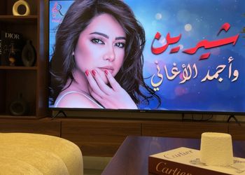 شقة بصالة وغرفة نوم