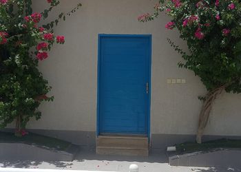  استراحة بمسطح اخضر وجلسة 