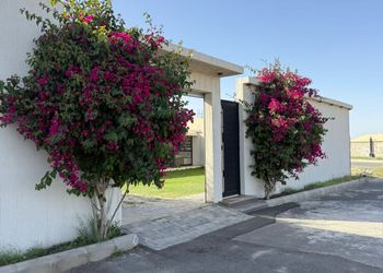 استراحة ببيت شعر وجلسة خارجية 