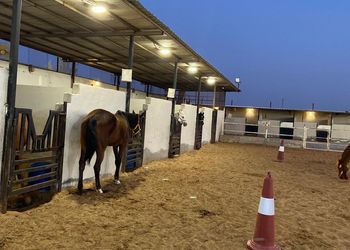 استراحة باسطبل خيل وصالة جلوس