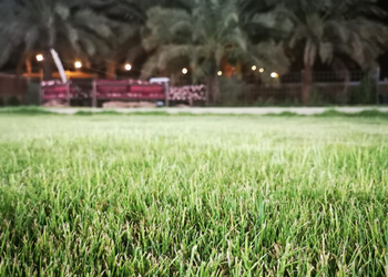 استراحة بمجلس وبيت شعر ومسبح 