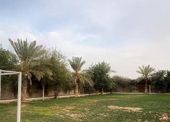 استراحة بمسطح اخضر ومجالس