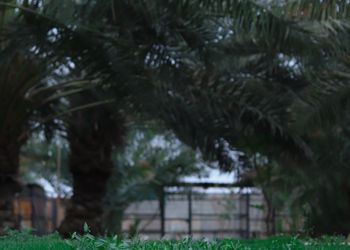 مزرعة بجلسة خارجية ومسطح اخضر