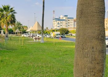 شقه ريفية ثلاث غرف اطلالة بلكونه