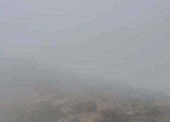 شقة بغرفة معيشة وغرفتين نوم 