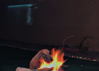 شاليه بمسطح اخضر ومسبح 