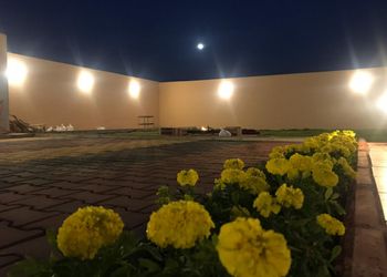 استراحة بمسطح اخضر وجلسة خارجية