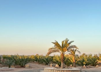 مزرعة بمناظر خلابة وجلسة خارجية 