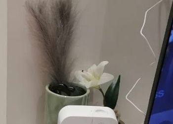 استديو بأثاث مريح وبسيط