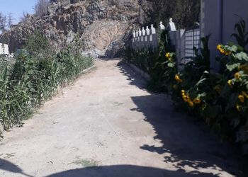 استراحة بمسطحات خضراء وبيت شعر