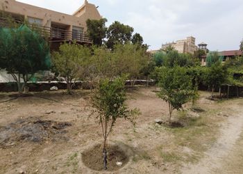 شاليه بصاله وإطلاله عالحديقه