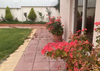 استراحة ومسطح اخضر 