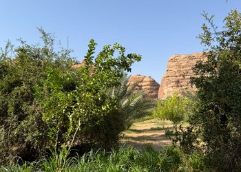 استراحة بجلسة خارجية و مجلس