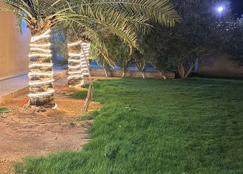 استراحة بمسطح اخضر وجلسة