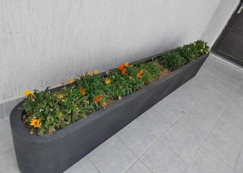 استديو هادئ بدخول ذاتي 