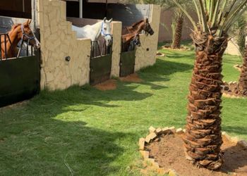 مزرعة بجلسة خارجية واسطبل خيل