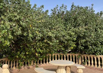 مزرعة بألعاب أطفال ومسطح اخضر