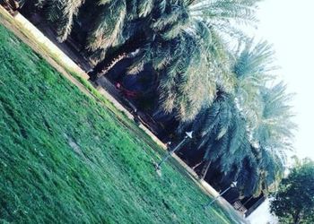 استراحة بمسبح وجلسة خارجية