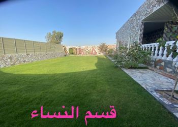 استراحة بمسطح  أخضر