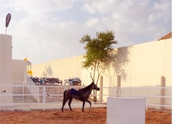 شاليه عائلي انيق بجلسة خارجية
