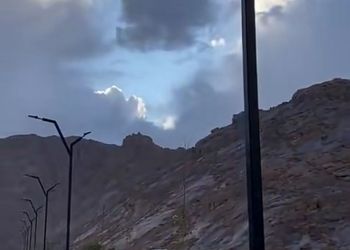 شقة بغرفة نوم وصالة 