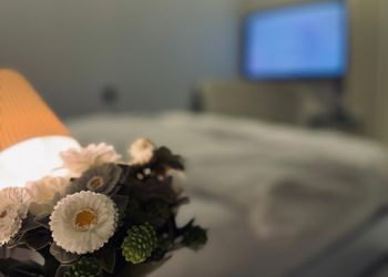 استديو مريح لليلة جميلة ومميزة
