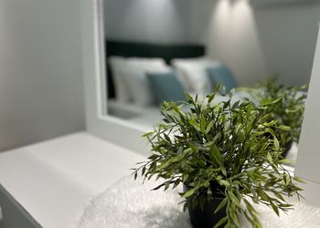 استديو بجلسة خارجية وسرير ماستر