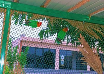 استراحة بجلسة خارجية و مجالس
