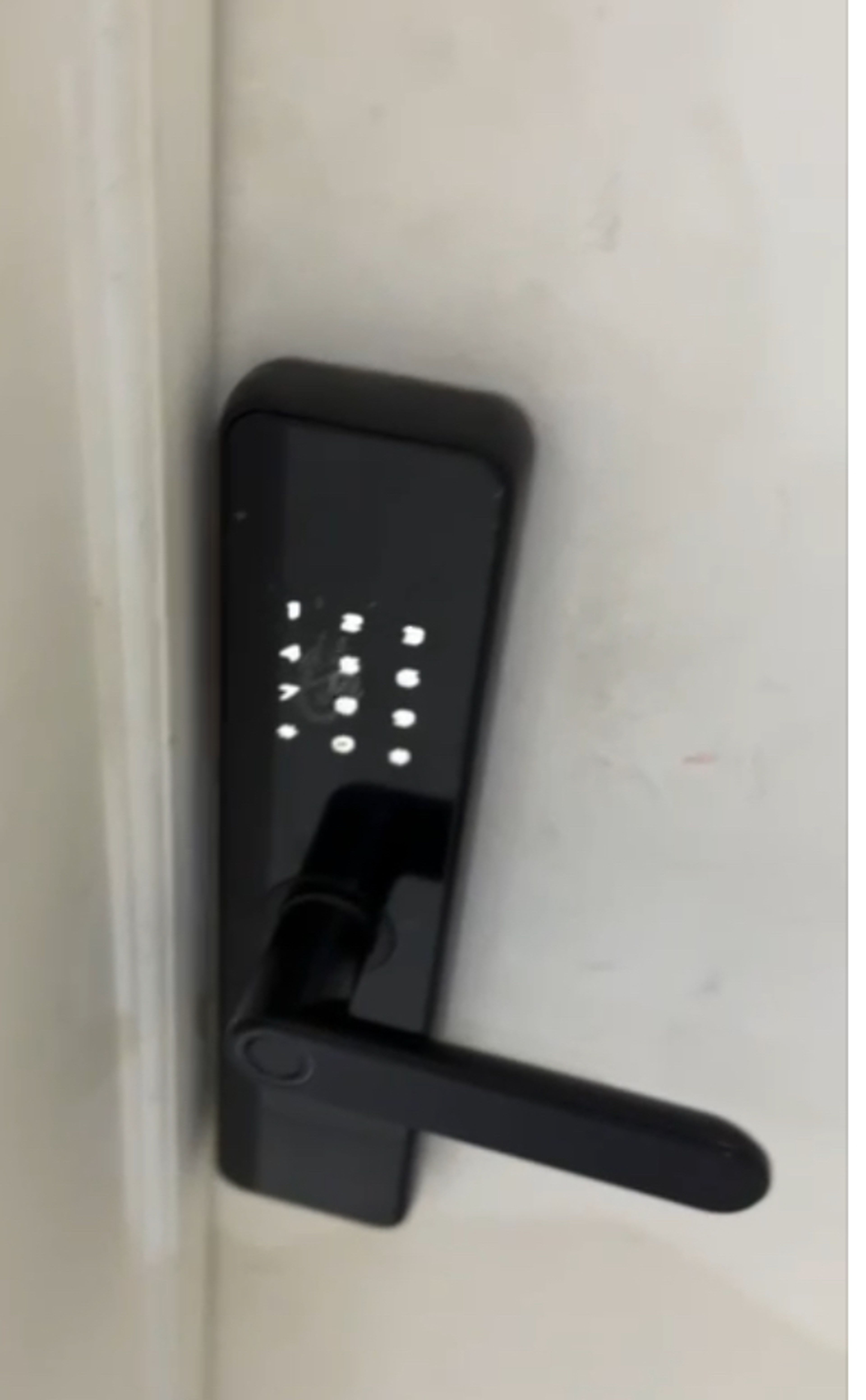 https://img.gathern.co/1400x0/1/4cwT9xbqjGv2QVbxBBsj3gTgTyhb7vID.jpeg