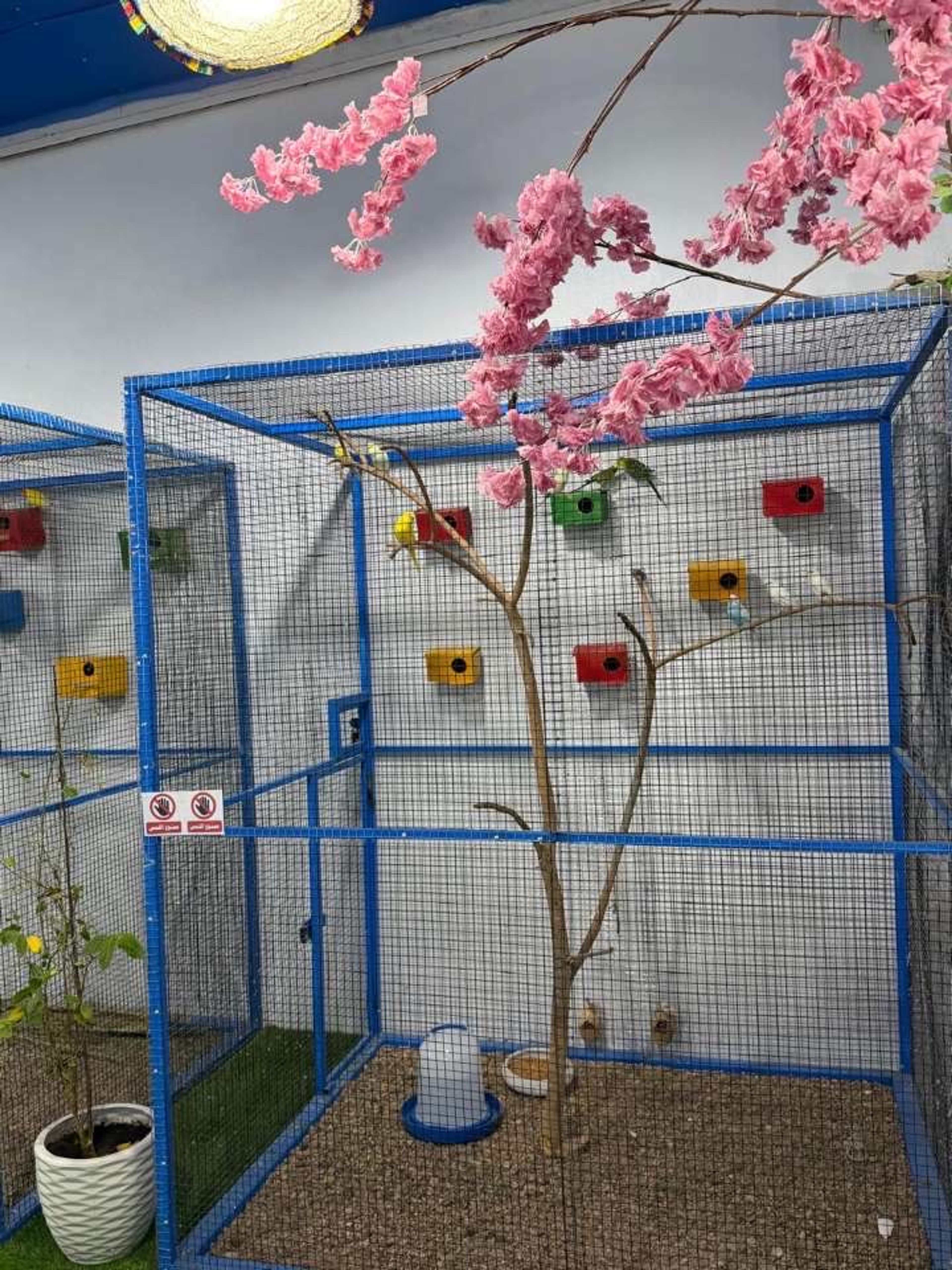 https://img.gathern.co/1024x0/1/4j-Es9b8oyRoJGn2-08hgV_c0LgWvadv.jpeg