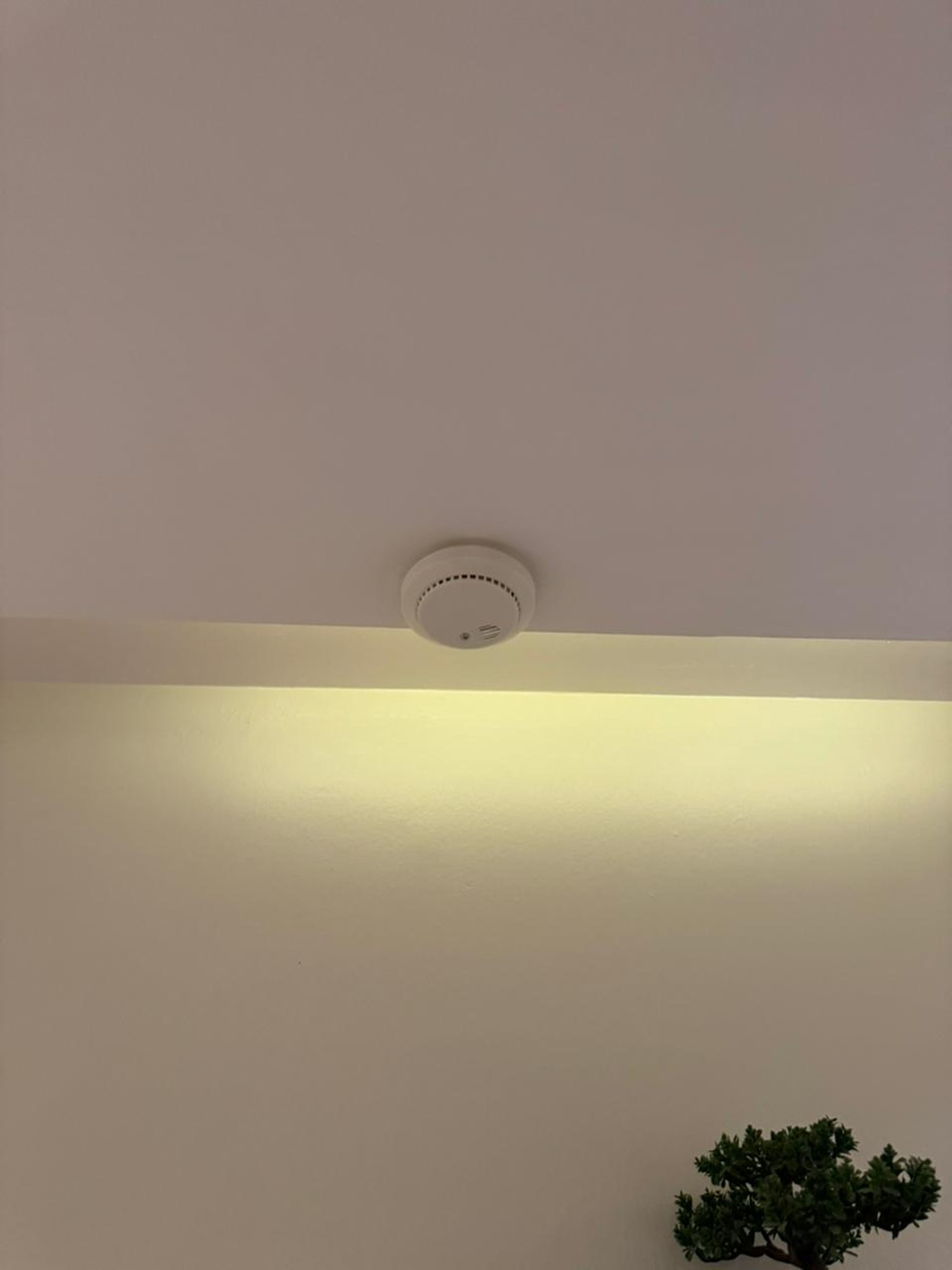 https://img.gathern.co/1400x0/1/5Iec15TUeK4Bkz3LiFHjcfEd34Qi6HWm.jpeg