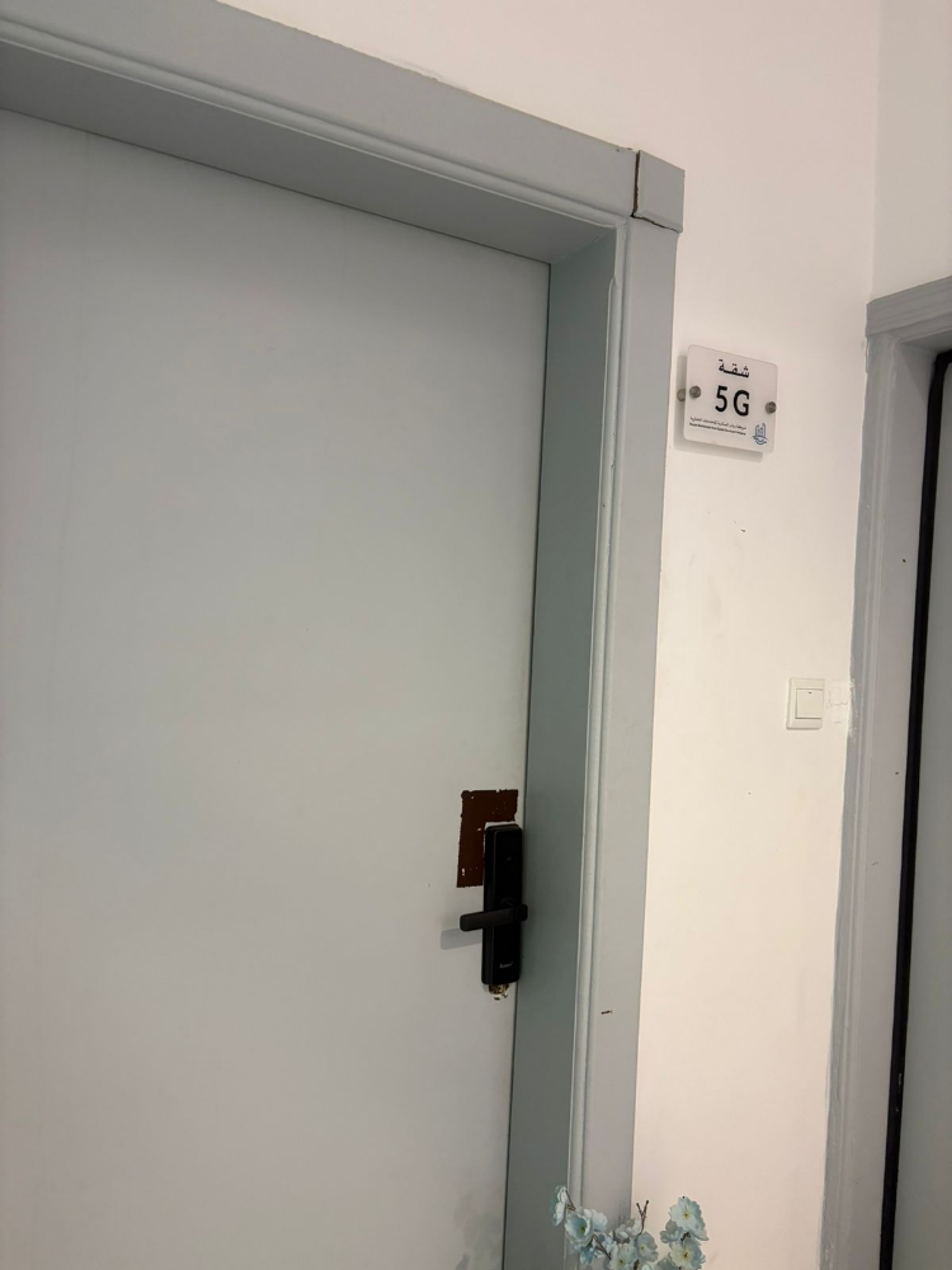 https://img.gathern.co/1400x0/1/6IwmEbsb8-3orSTB0JkIQ6nsi_7678xB.png