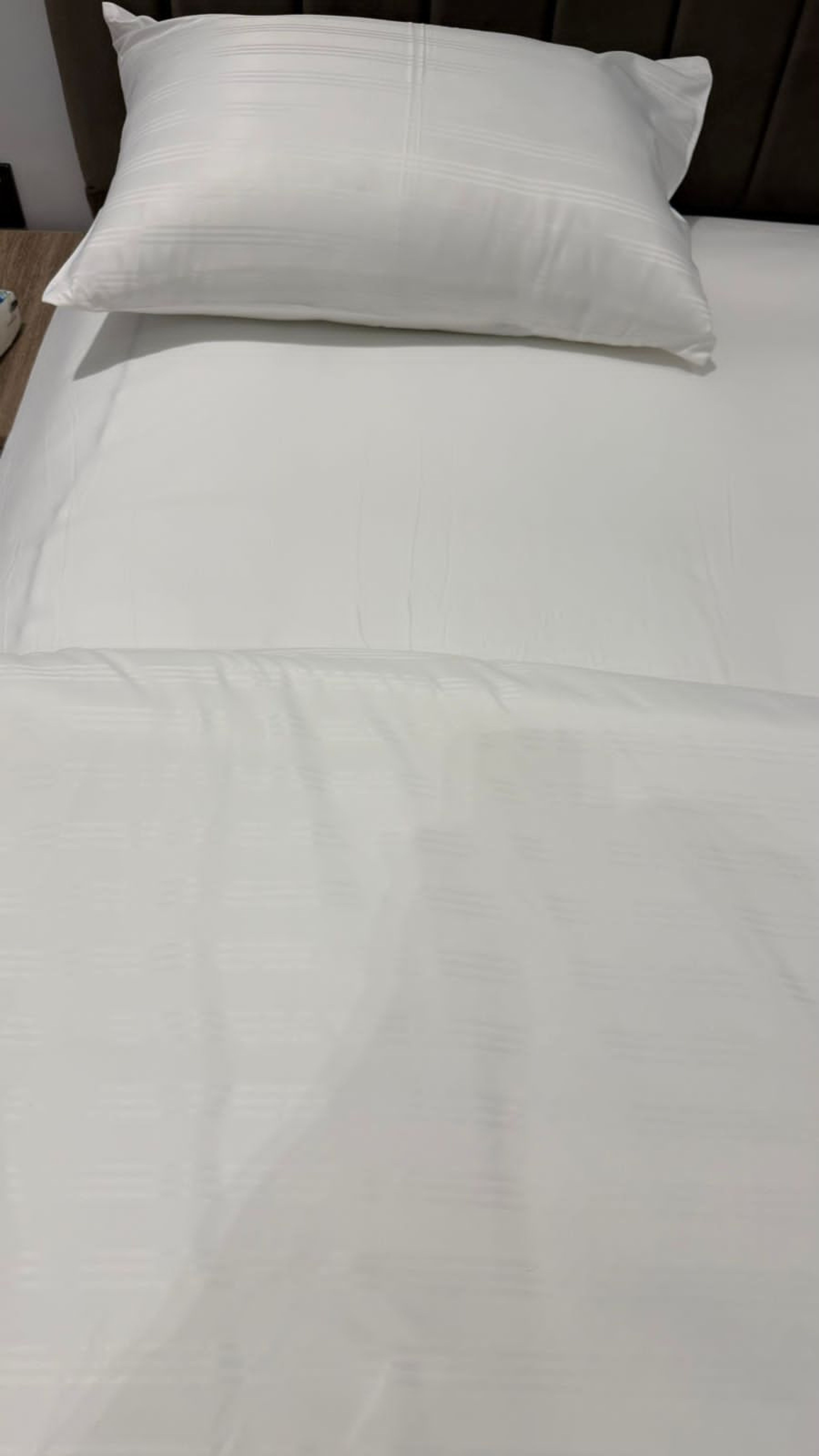 https://img.gathern.co/1400x0/1/92ctLw5xEAJKHIkF1ykSLySifWn85WA5.jpg