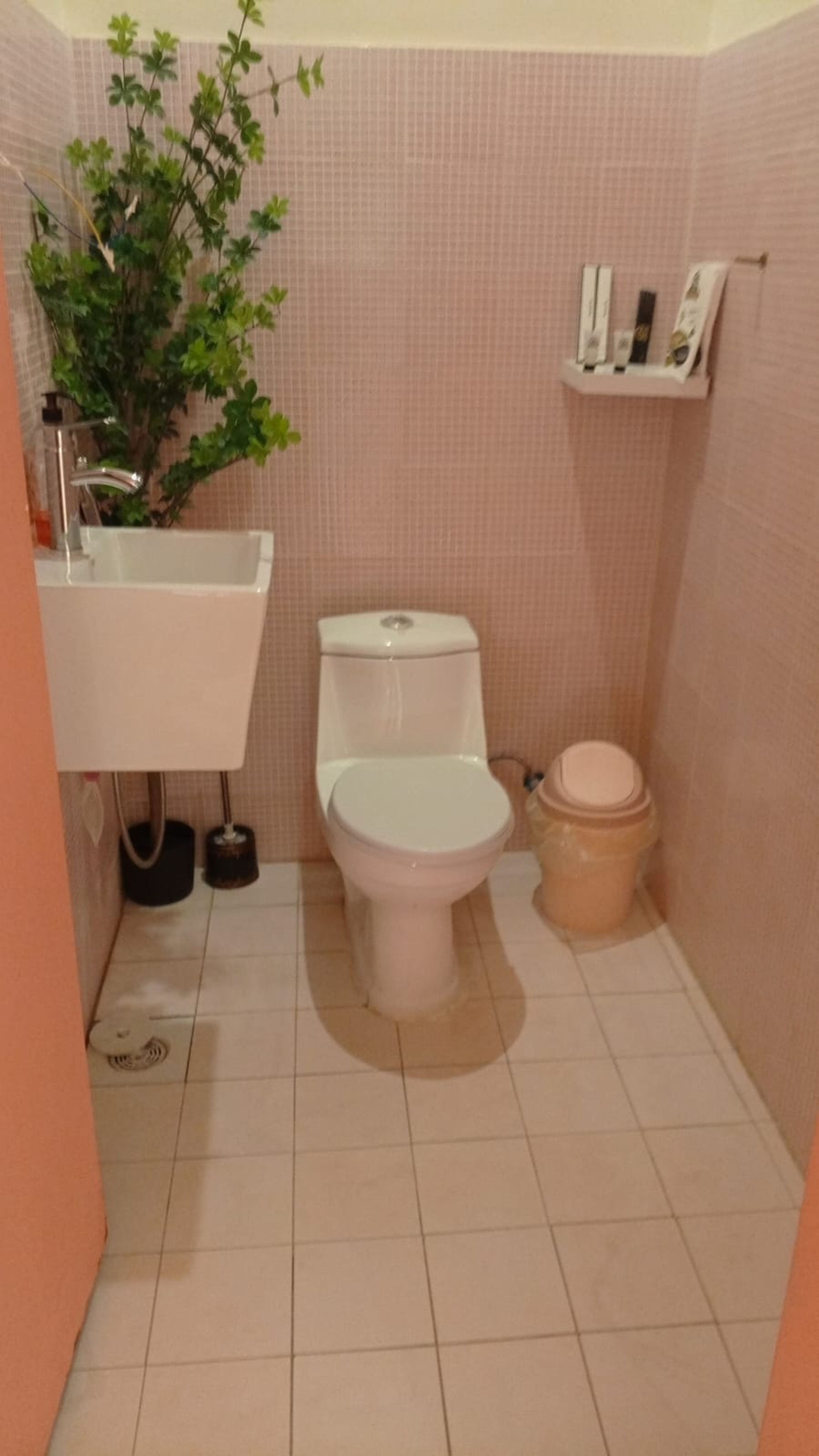 https://img.gathern.co/1024x0/1/9Pqgn2fAQn6E44k_umbaPNwPMgsub5z_.jpg