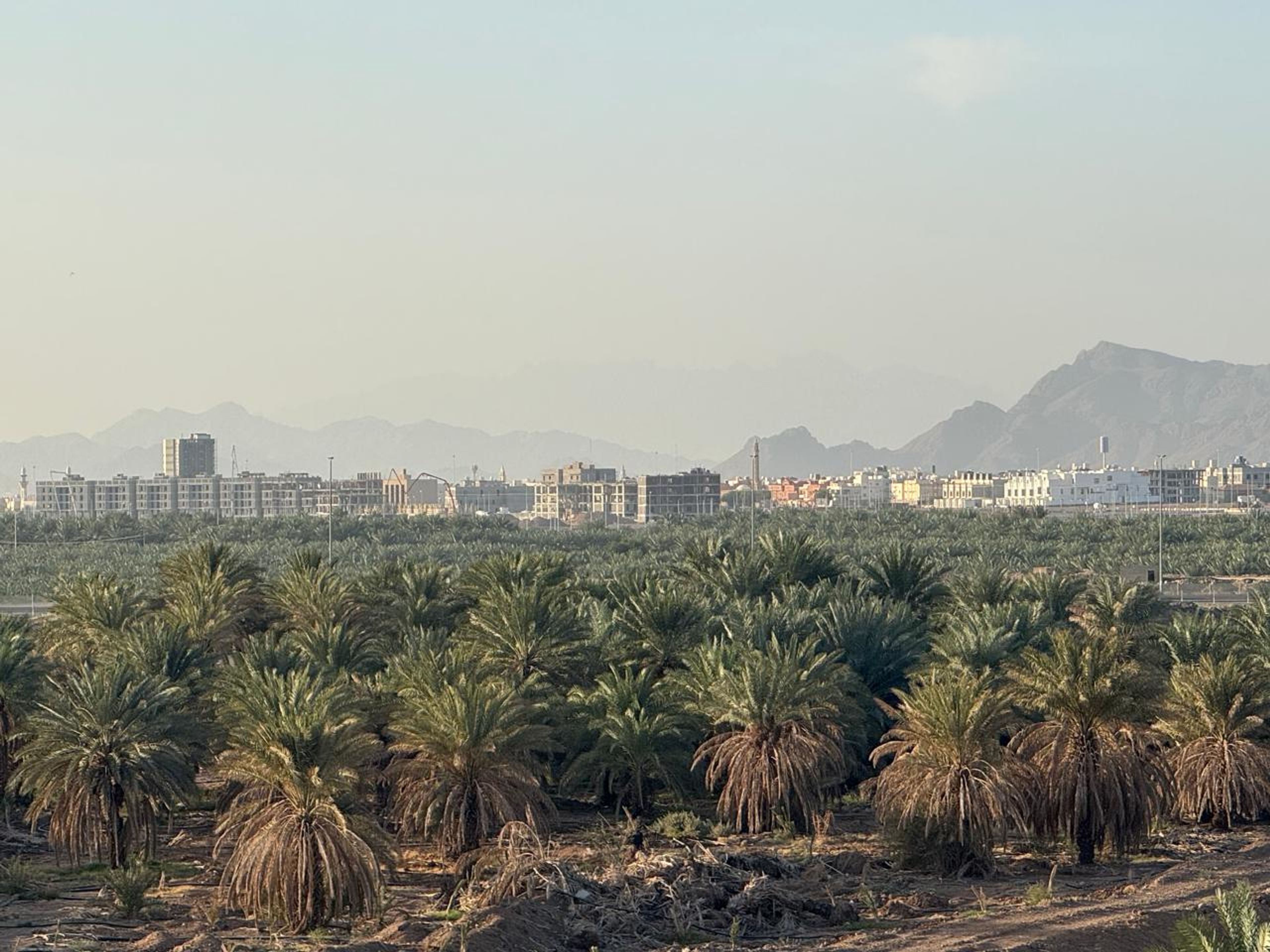 https://img.gathern.co/1400x0/1/AOKUq_2Wzad7awYL_oP5FHj2wHCURr1D.jpeg