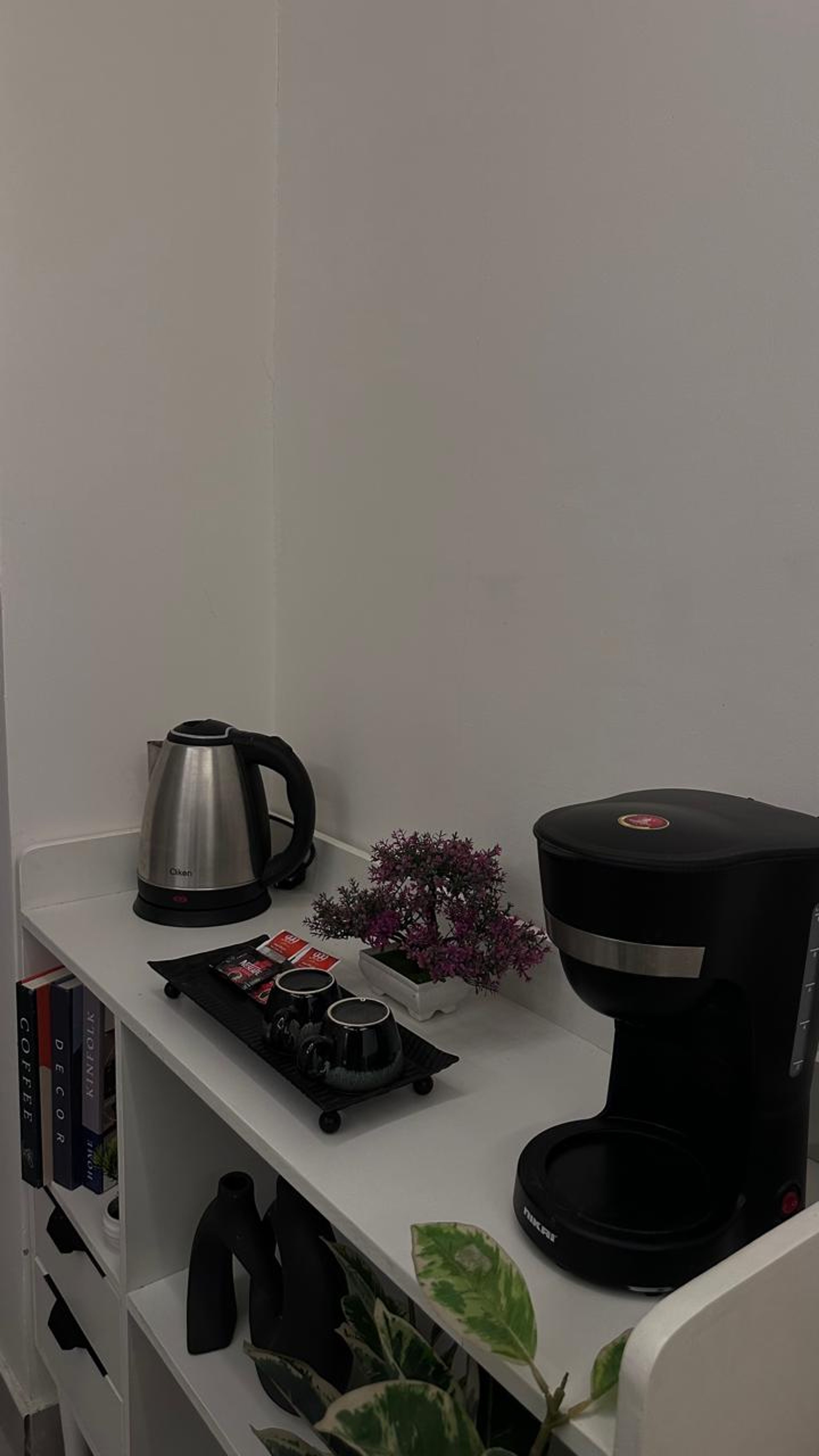 https://img.gathern.co/1400x0/1/BUST687EVjjERfjBuYx9EoscN5BNyLQA.jpeg