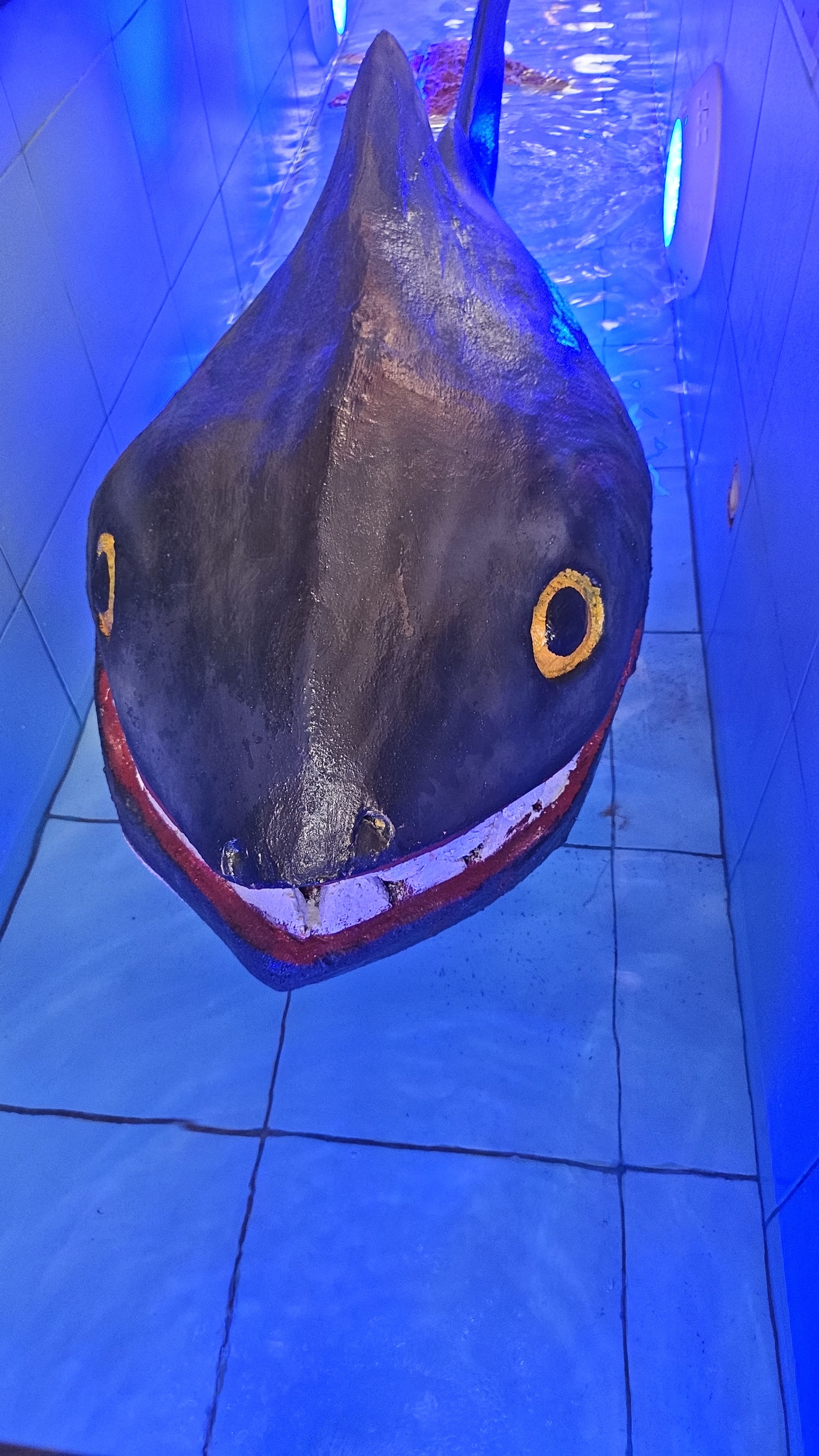 https://img.gathern.co/1400x0/1/D_gmK7xlSX9fm5oh1LQ9dCebMRkL98DU.jpg