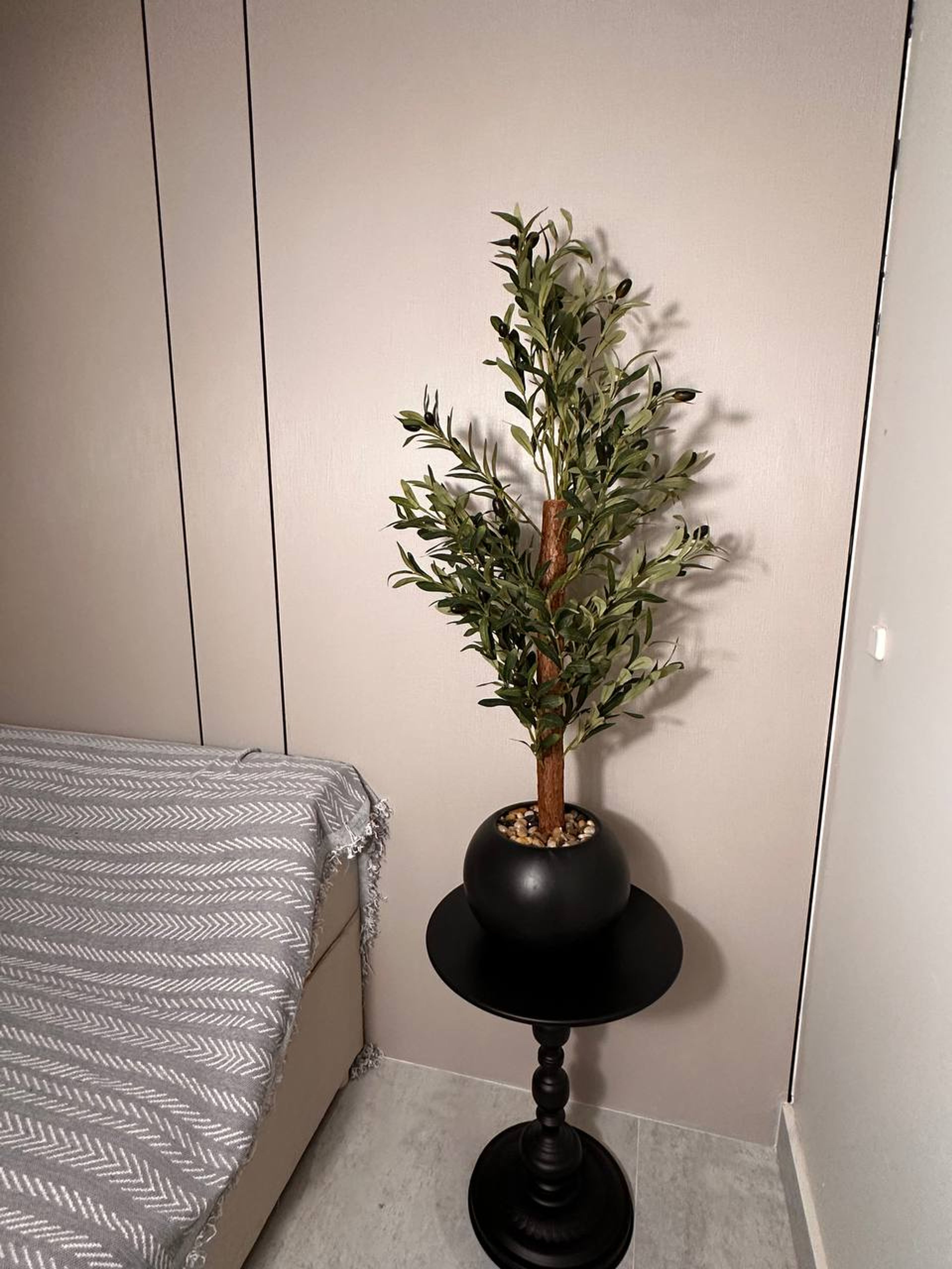 https://img.gathern.co/1024x0/1/JmYP9sfhD2eQQc5qtZADMmyU-yFkMp62.jpg
