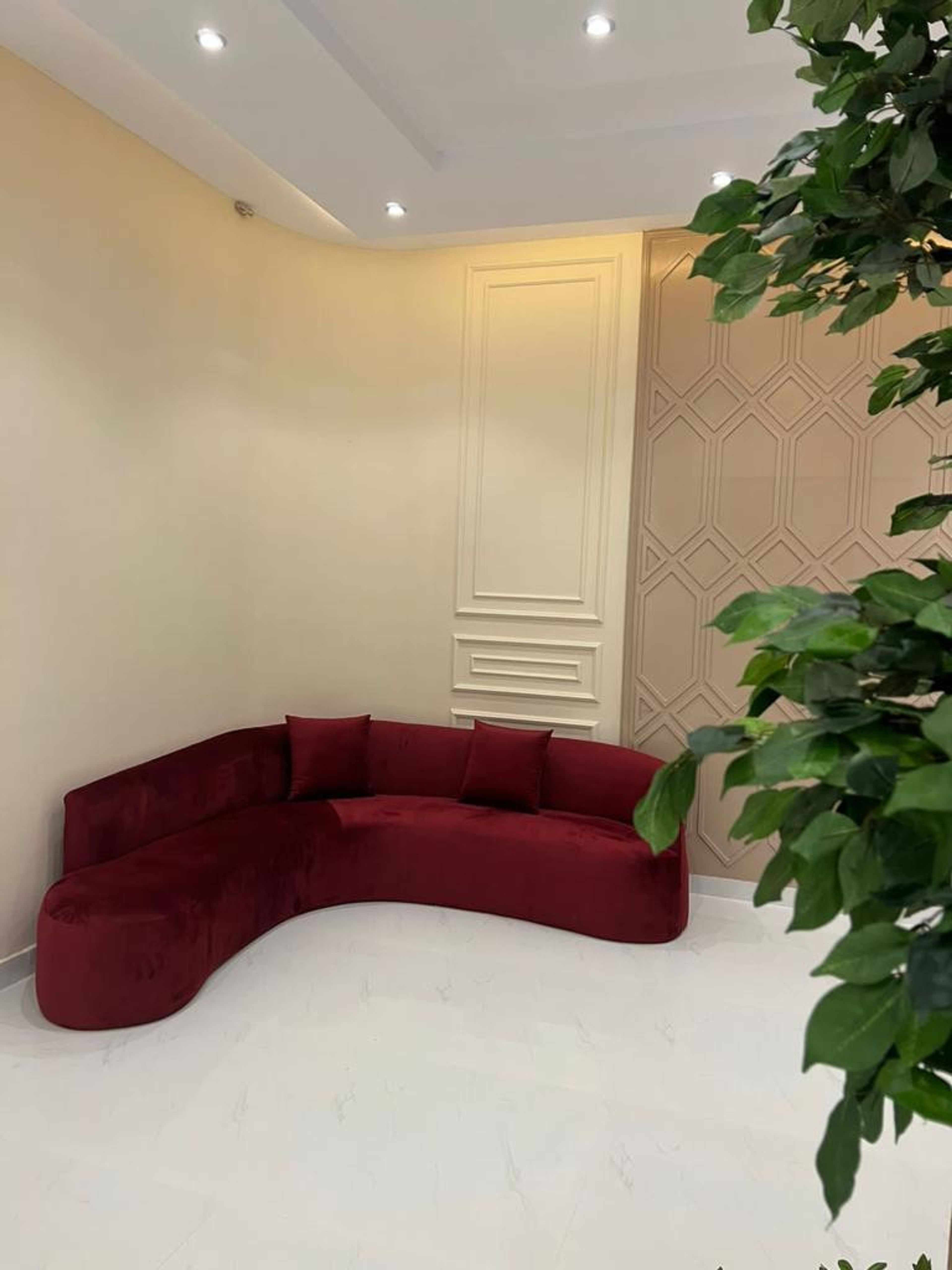 https://img.gathern.co/1024x0/1/PrV161UP-o5CQX7hV61gG8cQ7vTP6Xqf.jpg