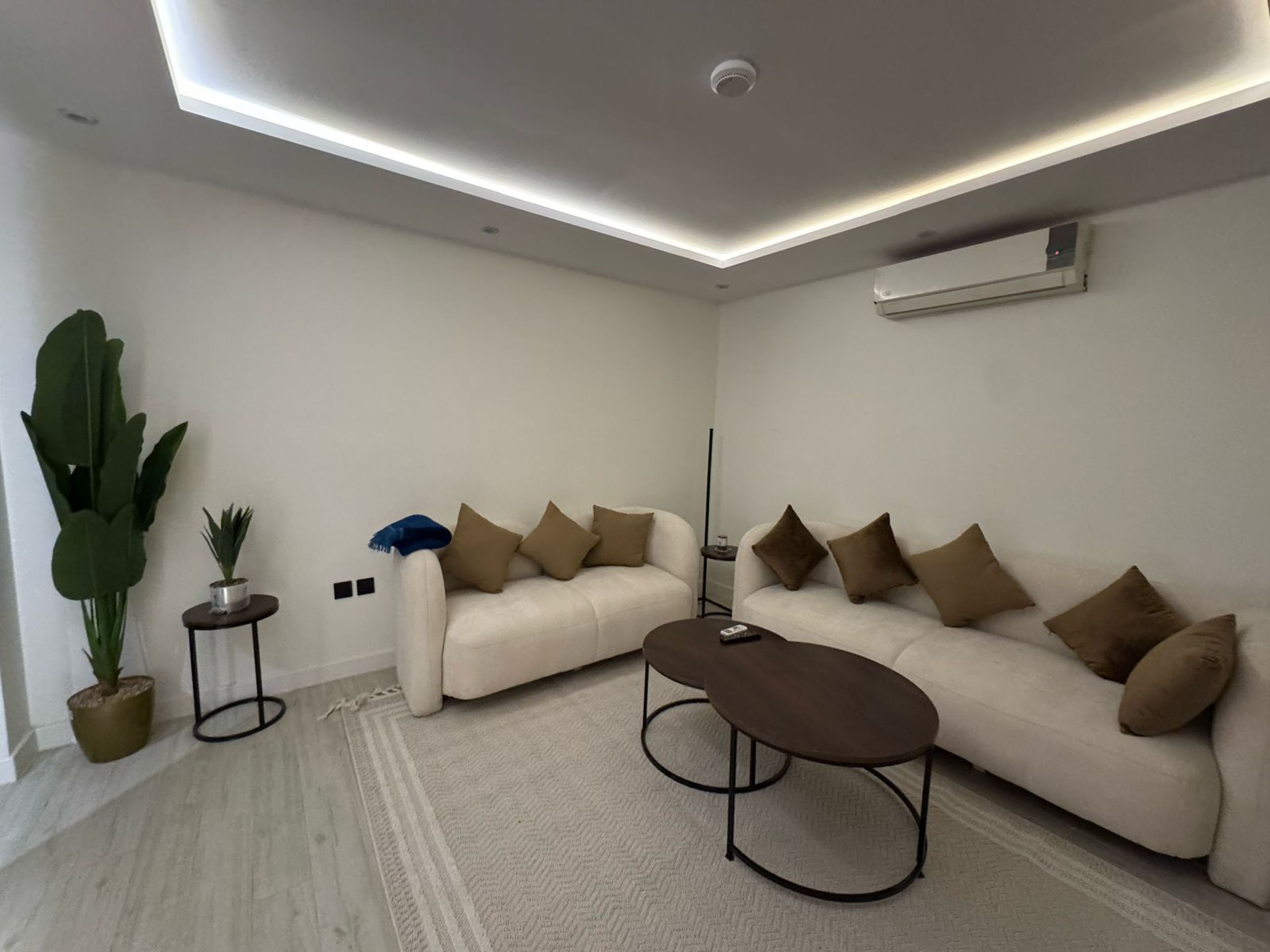 https://img.gathern.co/1400x0/1/Qoc0K62FWx7db6q8UYh0ziV3b5p6dp1p.jpeg