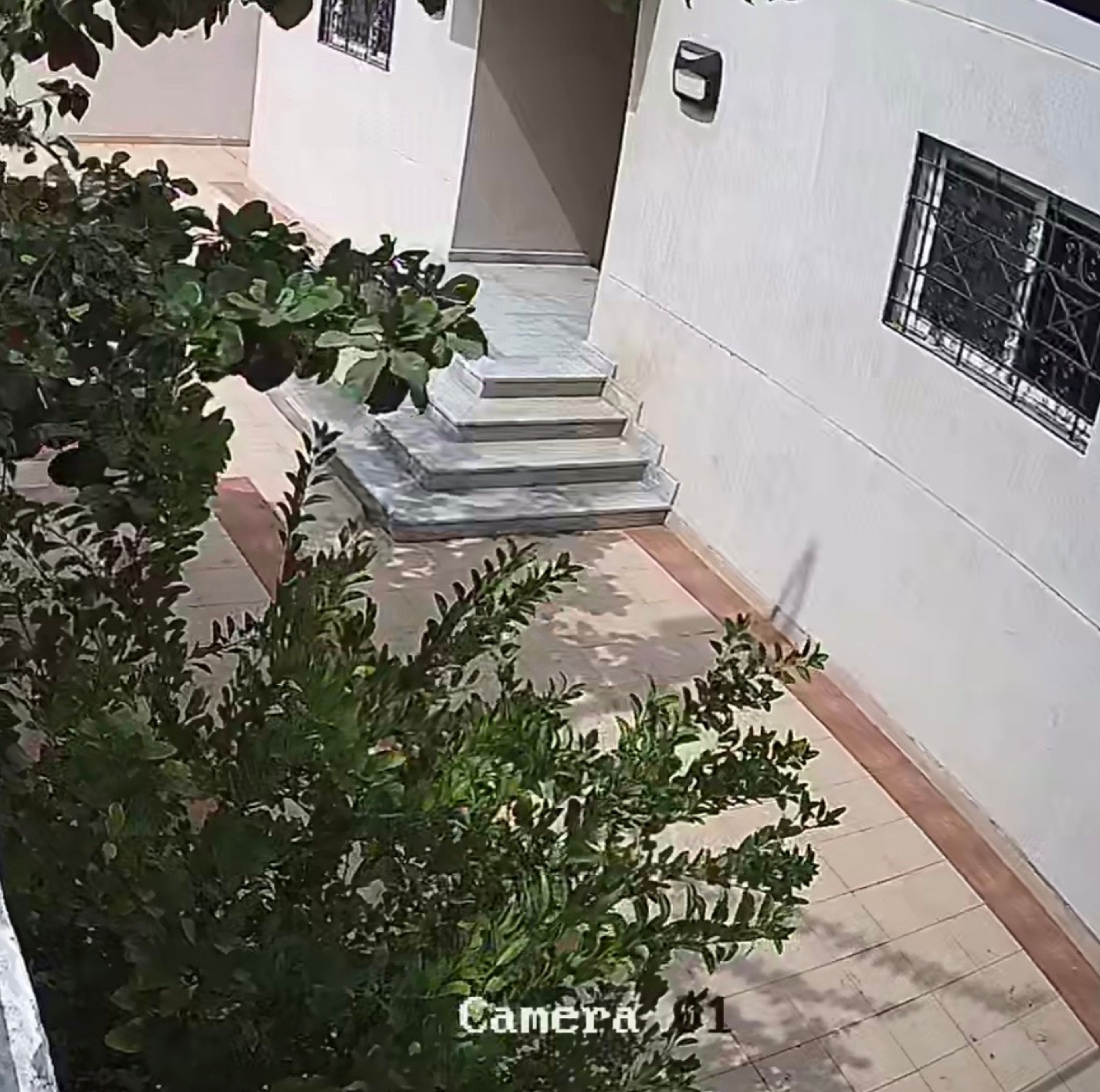 https://img.gathern.co/1024x0/1/_vSnMg6VnAx8fZGJ_7AqDayFRDEZgR2W.jpg