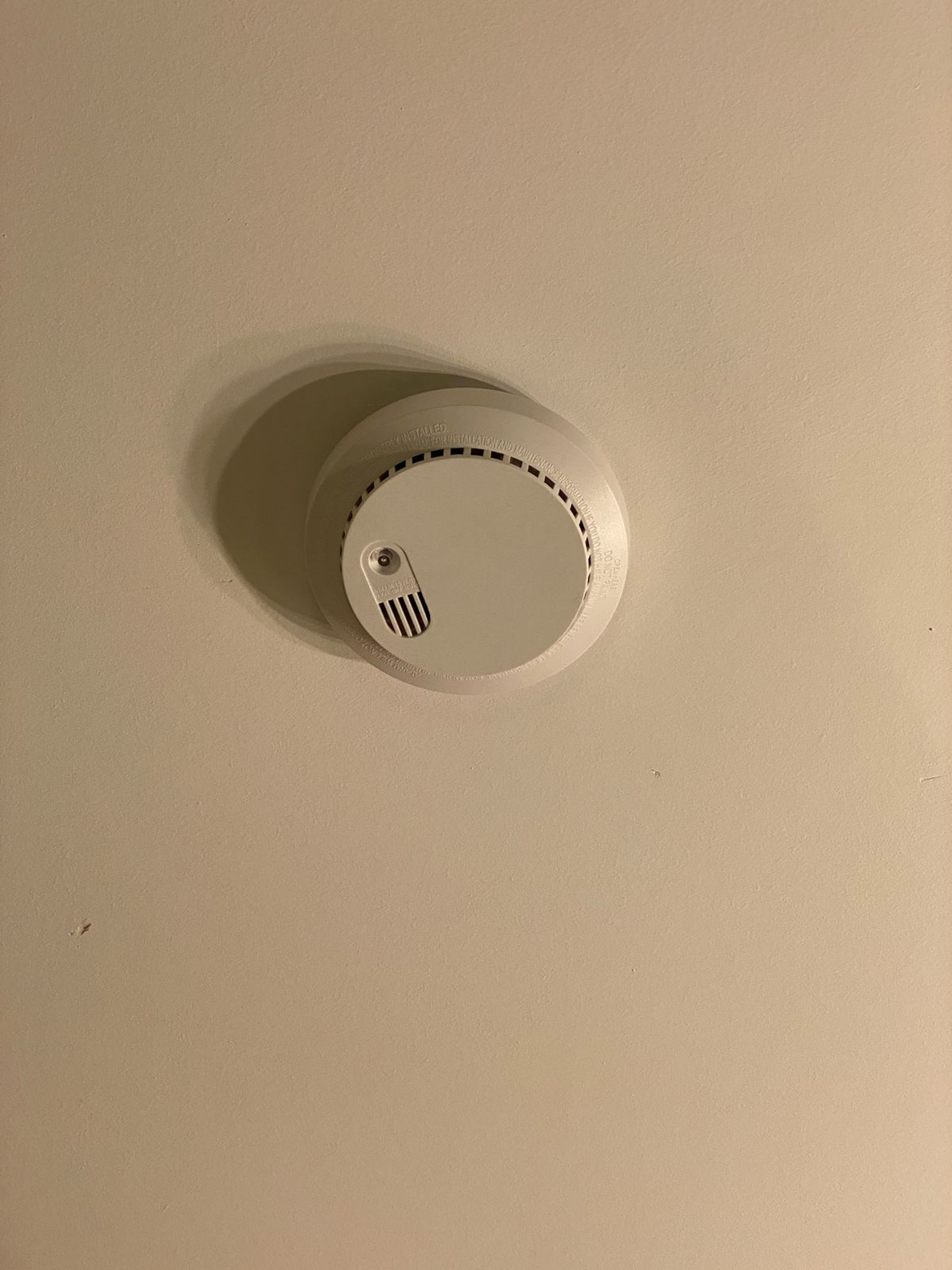 https://img.gathern.co/1024x0/1/cWHM4DiZ8sPCE8e_Tpr07z8SHYsnkQdX.jpeg