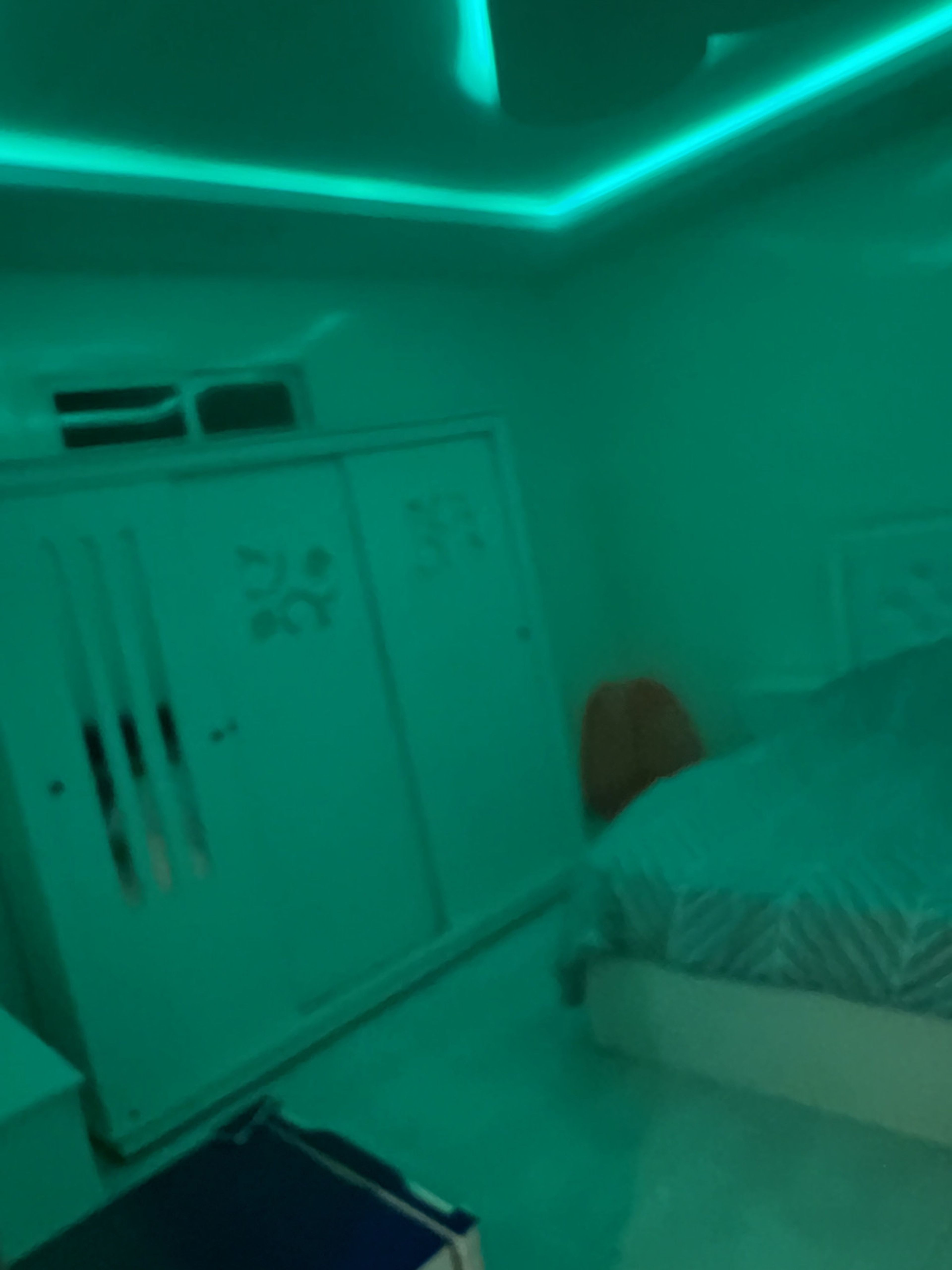 https://img.gathern.co/1400x0/1/gnc_NKUPlOaKH0eceh5DBAQEgtHLOR8g.jpg