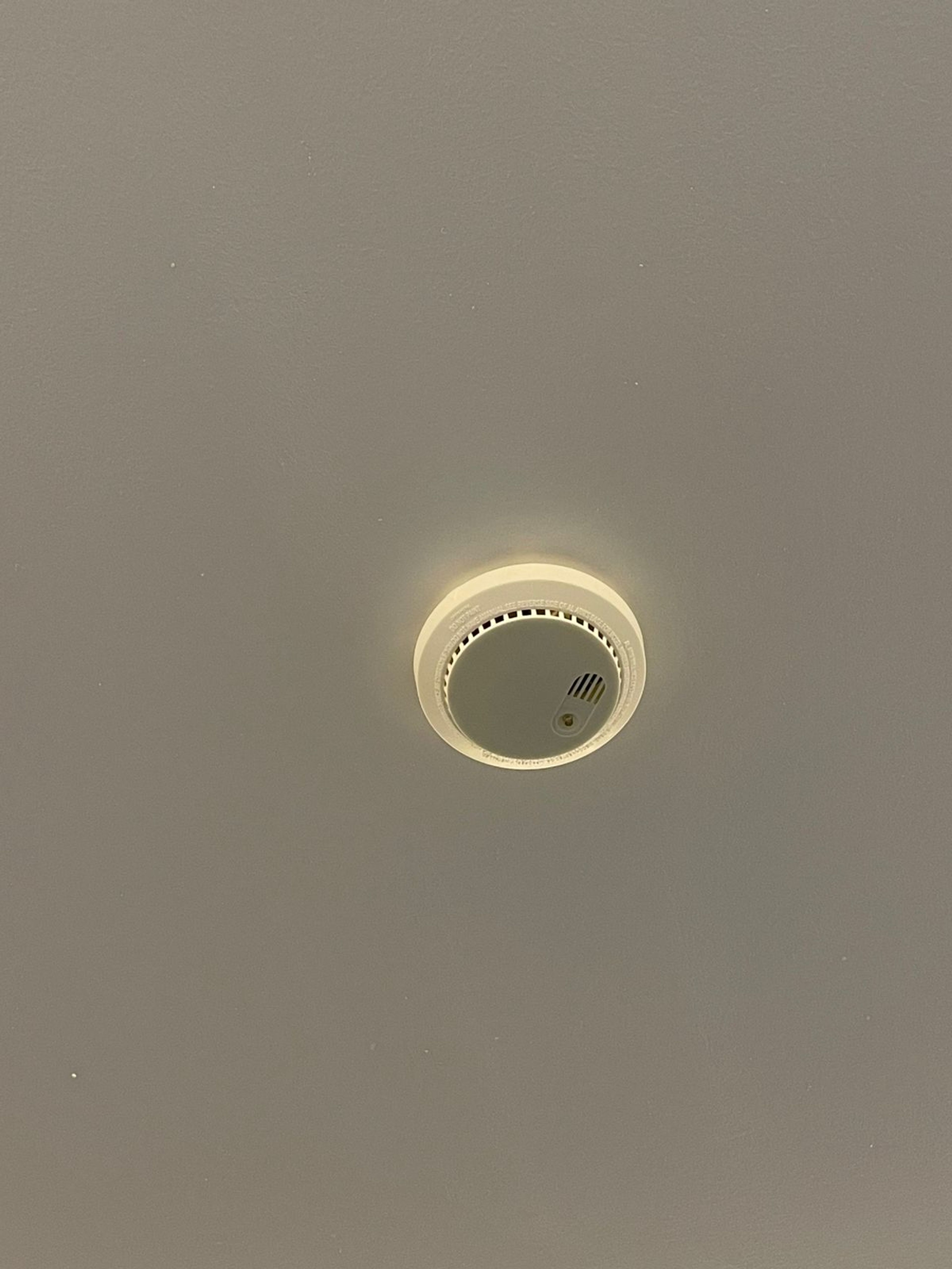 https://img.gathern.co/1024x0/1/kZorTxlj9uCoruj2GrNkOM1XkDi1CzQz.jpg