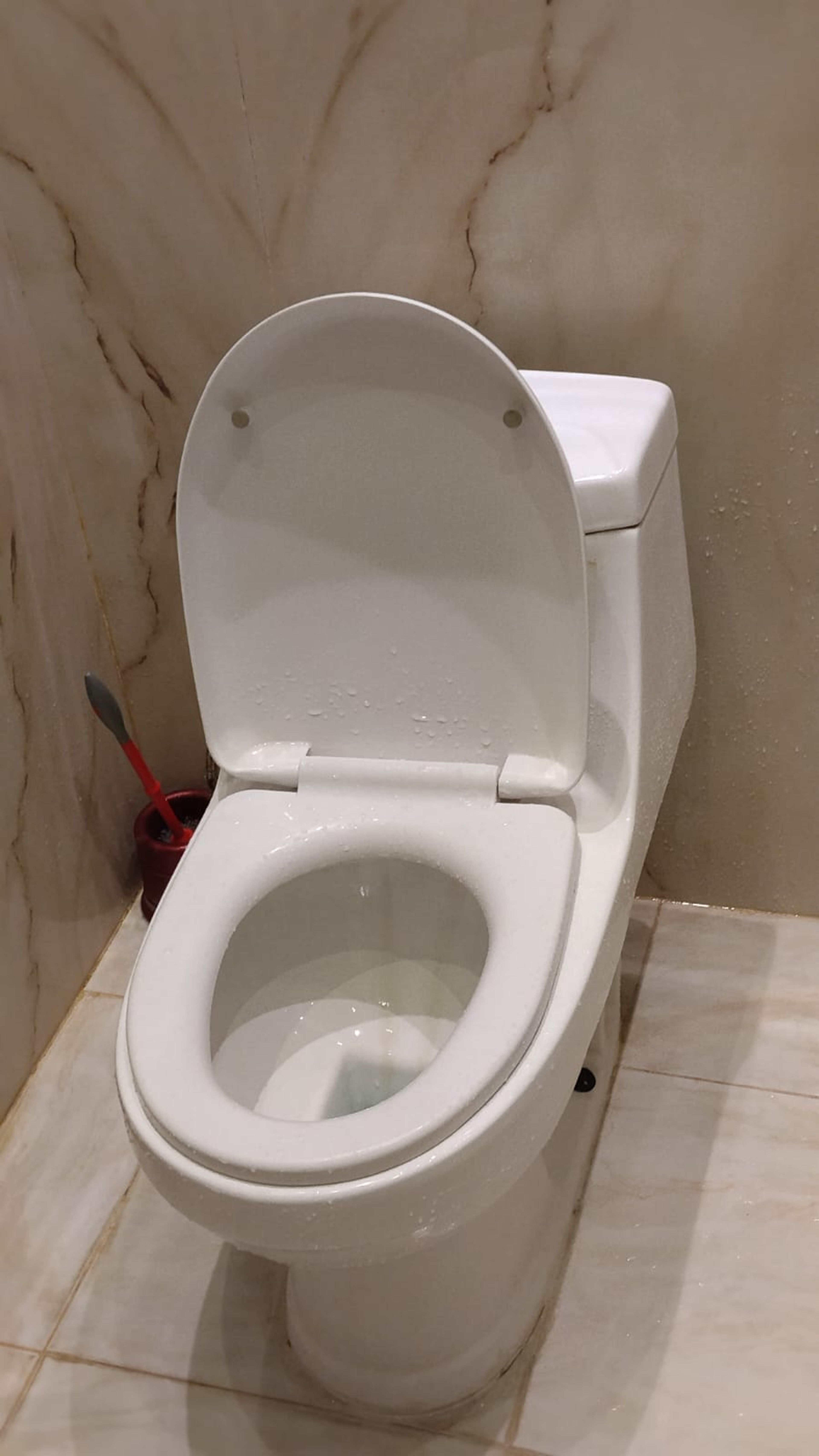 https://img.gathern.co/1400x0/1/lX7HE7LKq-BB8-iATM7O4fpAHIYT0Bgt.jpg