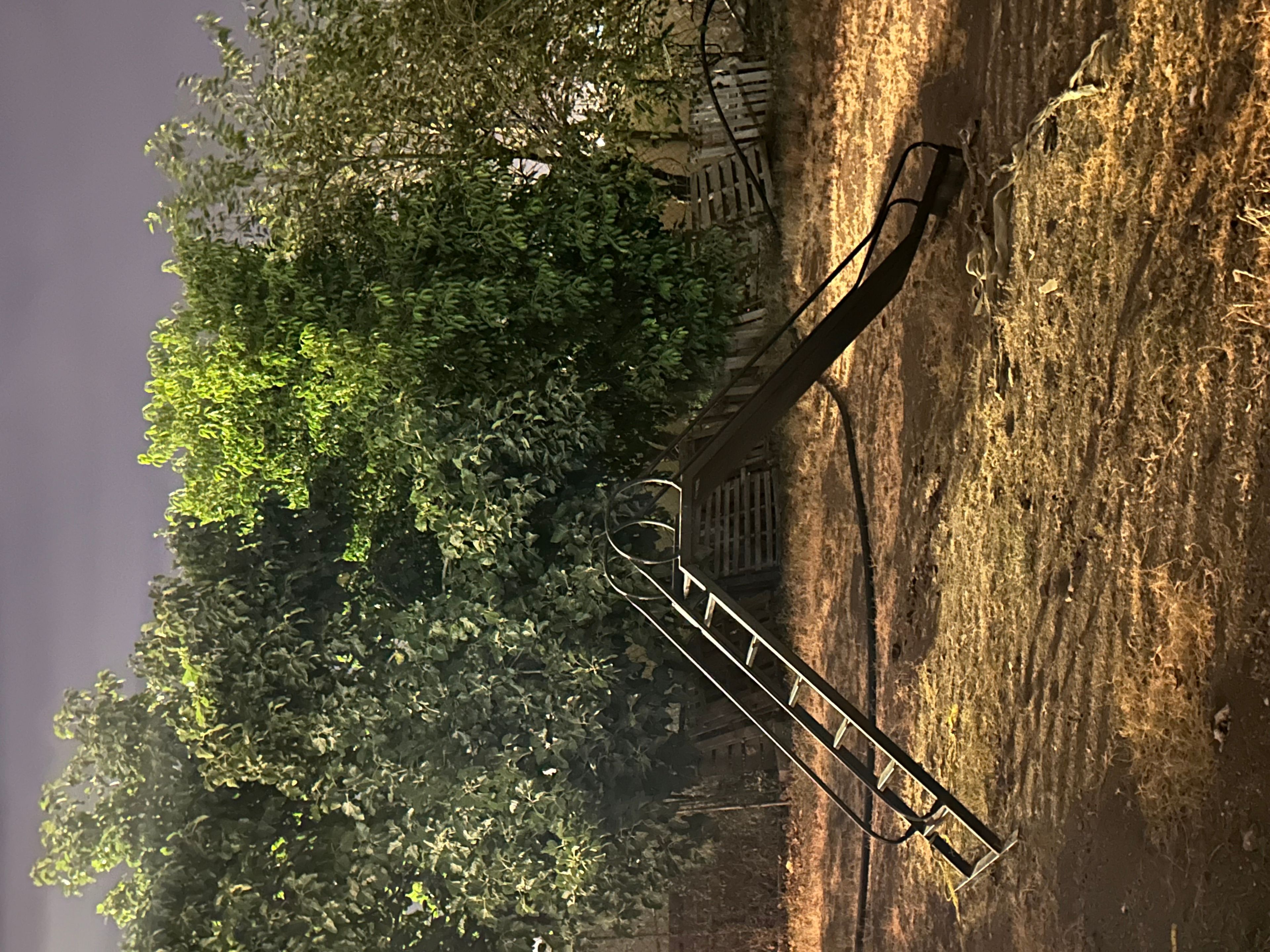 https://img.gathern.co/1400x0/1/thHvqmjiuJiaTtCo9Y4oIAF20AEdYRsX.jpeg