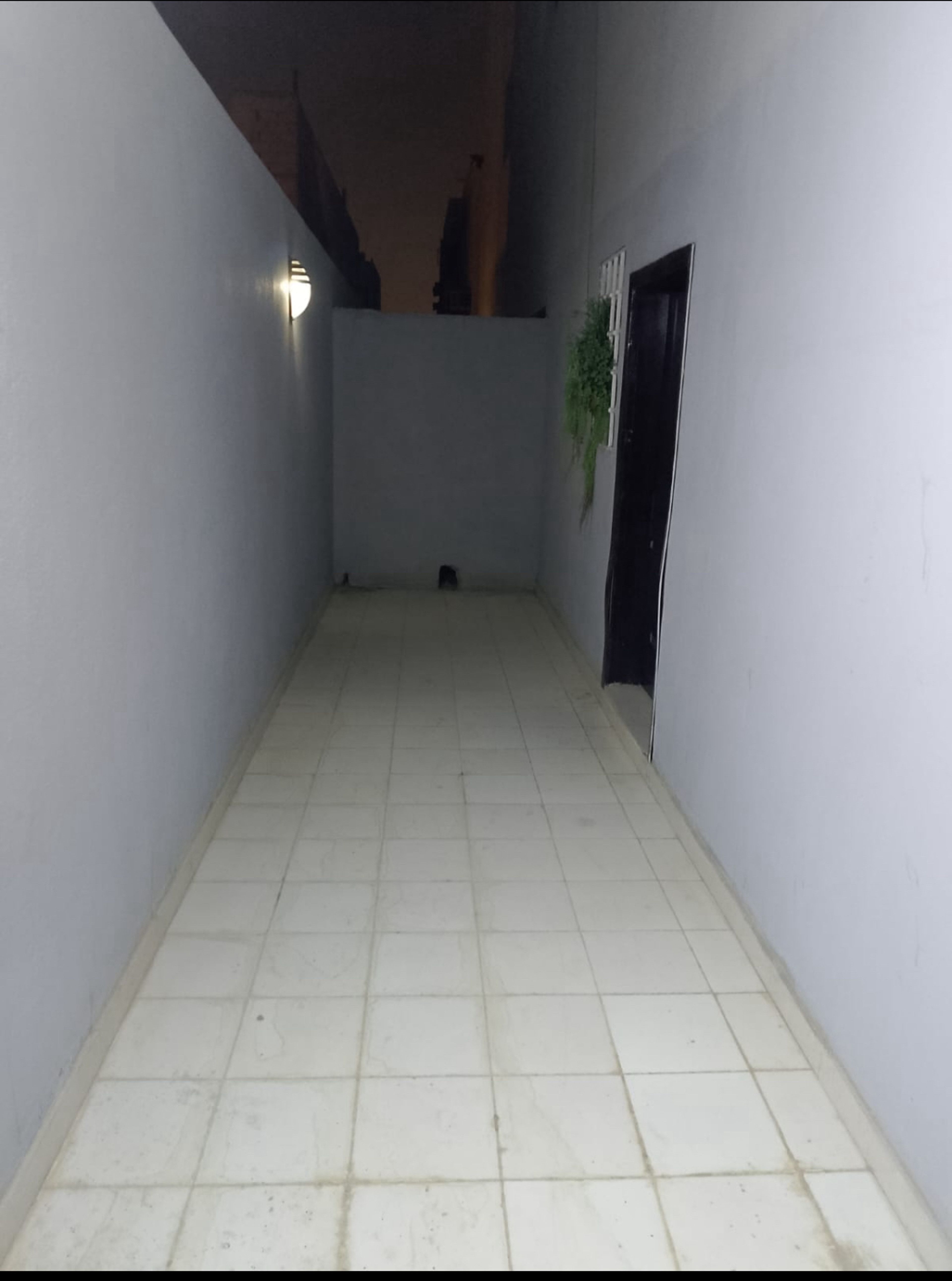 https://img.gathern.co/1400x0/1/v4Uv69U1W5TxWAl8Ale8e4eLbtC7QD_c.jpg