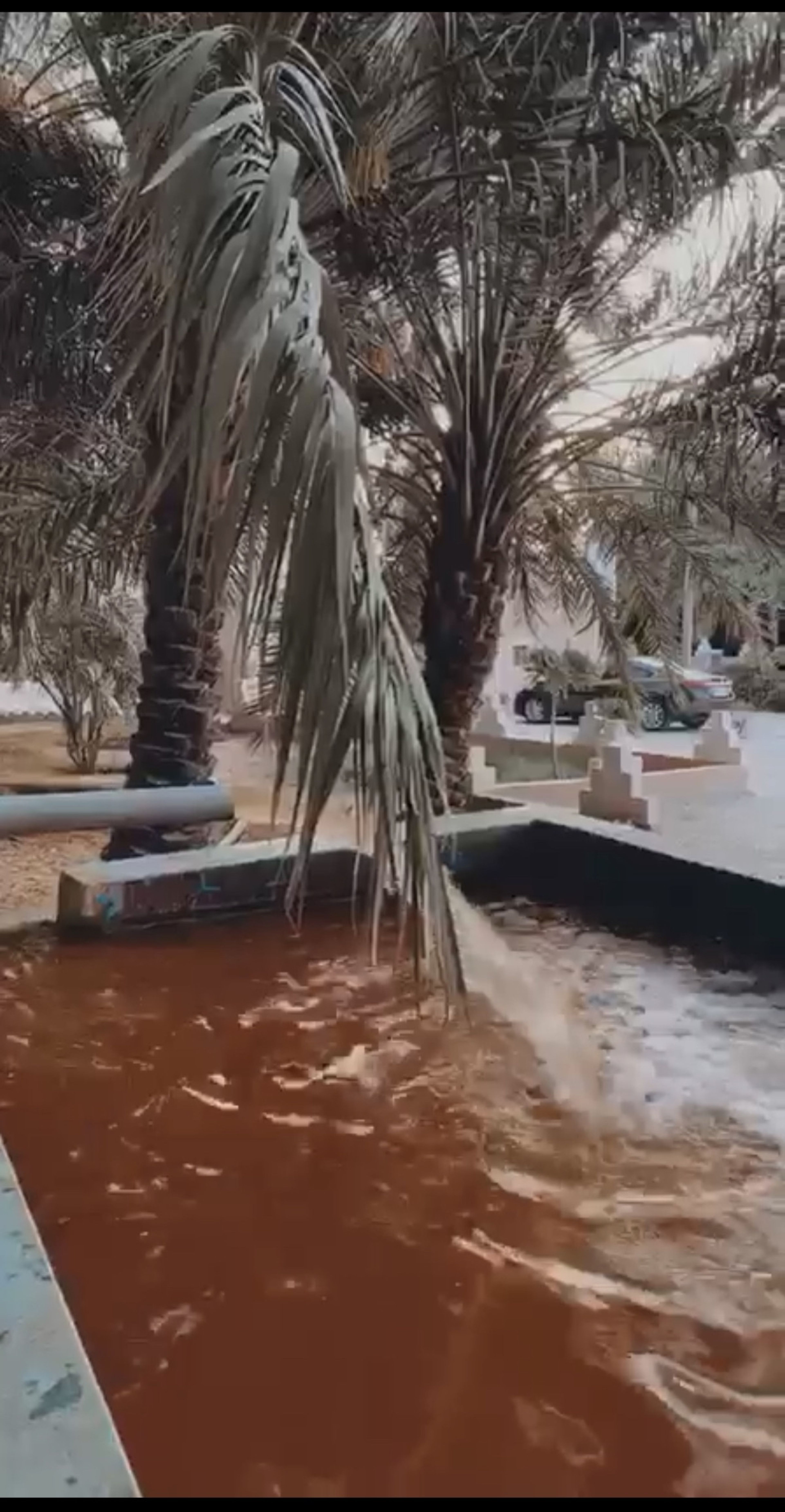 https://img.gathern.co/1400x0/1/vyxWMl584Nd9C1e3udnvUn9CgWNv29D_.jpg