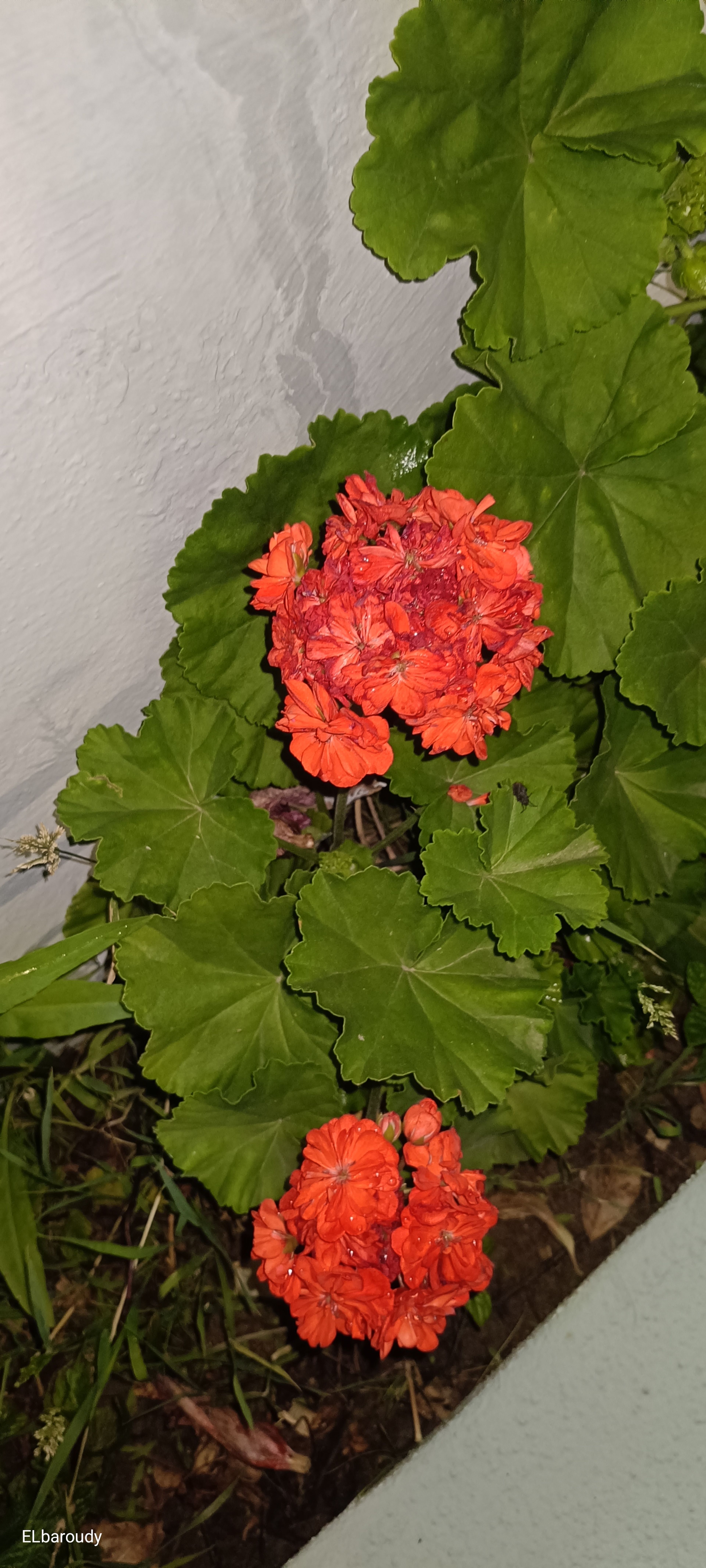https://img.gathern.co/1024x0/1/wzSJMosN2LVG4_lWYspoKLXbjHui_Z6X.jpg